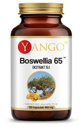Boswellia 65 120 Κάψουλες YANGO
